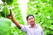 Làm kinh tế gia đình với mô hình nông nghiệp công nghệ cao